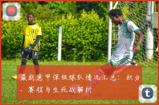 最新意甲保级球队情况汇总：积分、赛程与生死战解析