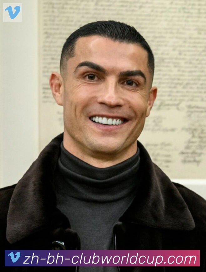 维尼修斯